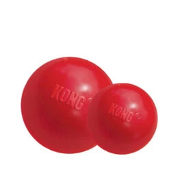 KONG Ball