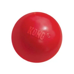 KONG Ball -ROYAL CANIN Verkaufsgeschäft product kong ball none 4 1466058812 69915