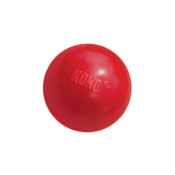 KONG Ball -ROYAL CANIN Verkaufsgeschäft product kong ball none 4 1466058813 69918