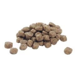 Purina Pro Plan Dog Adult - Large Breed -ROYAL CANIN Verkaufsgeschäft purina pro plan dog adult large breed 113498 0500 none