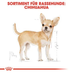 Royal Canin Chihuahua Adult - Hundefutter -ROYAL CANIN Verkaufsgeschäft royal canin chihuahua adult hondenvoer 137968 0500 none