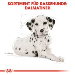Royal Canin Dalmatian Puppy - Hundefutter -ROYAL CANIN Verkaufsgeschäft royal canin dalmatian puppy hondenvoer 138589 0500 none