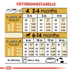 Royal Canin Dalmatian Puppy - Hundefutter -ROYAL CANIN Verkaufsgeschäft royal canin dalmatian puppy hondenvoer 138598 0500 none