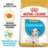 Royal Canin Dalmatian Puppy - Hundefutter -ROYAL CANIN Verkaufsgeschäft royal canin dalmatian puppy hondenvoer 140534 0500 none