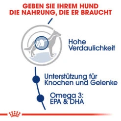 Royal Canin Maxi Adult - Hundefutter -ROYAL CANIN Verkaufsgeschäft royal canin maxi adult hondenvoer 128432 0500 none