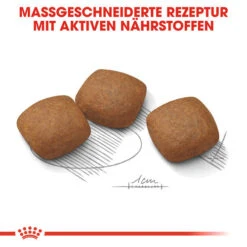 Royal Canin Maxi Joint Care - Hundefutter 13 Royal Canin Maxi Joint Care - Hundefutter -ROYAL CANIN Verkaufsgeschäft royal canin maxi joint care hondenvoer 132551 0500 none