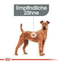 Royal Canin Medium Dental Care - Hundefutter -ROYAL CANIN Verkaufsgeschäft royal canin medium dental care hondenvoer 130922 0500 none