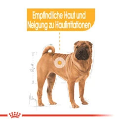 Royal Canin Medium Dermacomfort - Hundefutter -ROYAL CANIN Verkaufsgeschäft royal canin medium dermacomfort hondenvoer 143273 0500 none