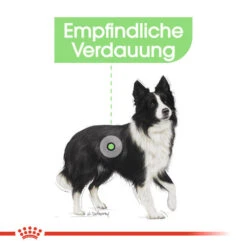 Royal Canin Medium Digestive Care - Hundefutter -ROYAL CANIN Verkaufsgeschäft royal canin medium digestive care hondenvoer 132788 0500 none