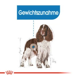 Royal Canin Medium Light Weight Care - Hundefutter 13 Royal Canin Medium Light Weight Care - Hundefutter -ROYAL CANIN Verkaufsgeschäft royal canin medium light weight care hondenvoer 132851 0500 none