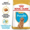 Royal Canin Poodle Puppy - Hundefutter -ROYAL CANIN Verkaufsgeschäft royal canin poodle puppy hondenvoer 139789 0500 none