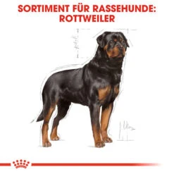 Royal Canin Rottweiler Adult - Hundefutter -ROYAL CANIN Verkaufsgeschäft royal canin rottweiler adult hondenvoer 139936 0500 none