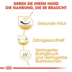 Royal Canin Shih Tzu Adult - Hundefutter 12 Royal Canin Shih Tzu Adult - Hundefutter -ROYAL CANIN Verkaufsgeschäft royal canin shih tzu adult hondenvoer 140336 0500 none