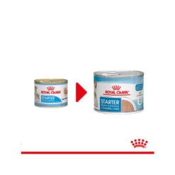 Royal Canin Starter Mousse Mother & Babydog - Hundefutter