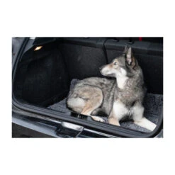 Royal Dry Doormat 12 Royal Dry Doormat -ROYAL CANIN Verkaufsgeschäft royal dry doormat 187417 0500 none