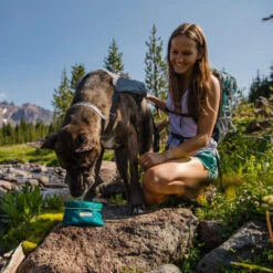 Ruffwear Flat Out Dog Collar - Alpenglow Burst 9 Ruffwear Flat Out Dog Collar - Alpenglow Burst -ROYAL CANIN Verkaufsgeschäft ruffwear flat out dog collar alpenglow burst 204812 0500 none