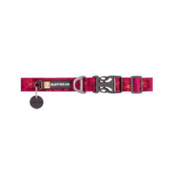 Ruffwear Flat Out Dog Collar - Alpenglow Burst 8 Ruffwear Flat Out Dog Collar - Alpenglow Burst -ROYAL CANIN Verkaufsgeschäft ruffwear flat out dog collar alpenglow burst 204824 0500 none