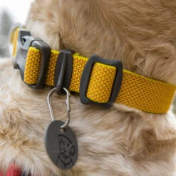 Ruffwear Hi & Light Halsband -ROYAL CANIN Verkaufsgeschäft ruffwear hi light collar 194258 0500 none