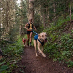 Ruffwear Roamer Leash - Blue Atoll 22 Ruffwear Roamer Leash - Blue Atoll -ROYAL CANIN Verkaufsgeschäft ruffwear roamer leash blue atoll 204797 0500 none