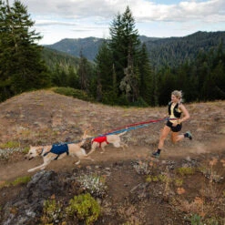 Ruffwear Roamer Leash - Blue Atoll 23 Ruffwear Roamer Leash - Blue Atoll -ROYAL CANIN Verkaufsgeschäft ruffwear roamer leash blue atoll 204800 0500 none