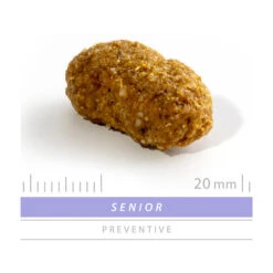 SANIMED Senior Dog -ROYAL CANIN Verkaufsgeschäft sanimed senior dog 159248 0500 none