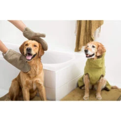 Siccaro DryGlove -ROYAL CANIN Verkaufsgeschäft siccaro dryglove 196901 0500 none