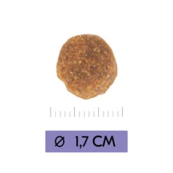 Vetality Adult Maxi - Hundefutter 9 Vetality Adult Maxi - Hundefutter -ROYAL CANIN Verkaufsgeschäft vetality adult maxi hondenvoer 213656 0500 none