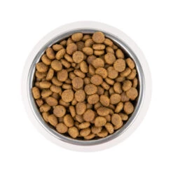 Vetality Puppy Maxi - Hundefutter 8 Vetality Puppy Maxi - Hundefutter -ROYAL CANIN Verkaufsgeschäft vetality puppy maxi hondenvoer 213665 0500 none