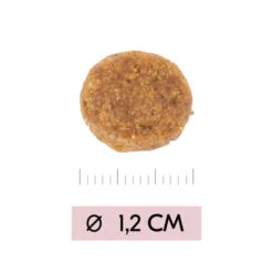 Vetality Puppy Maxi - Hundefutter 9 Vetality Puppy Maxi - Hundefutter -ROYAL CANIN Verkaufsgeschäft vetality puppy maxi hondenvoer 213668 0500 none